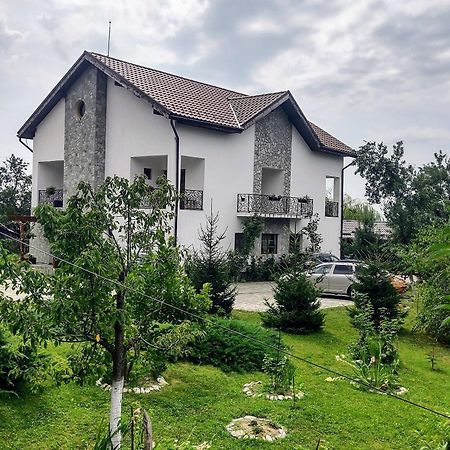 Pensiunea Codruta Cărpinişu Eksteriør billede