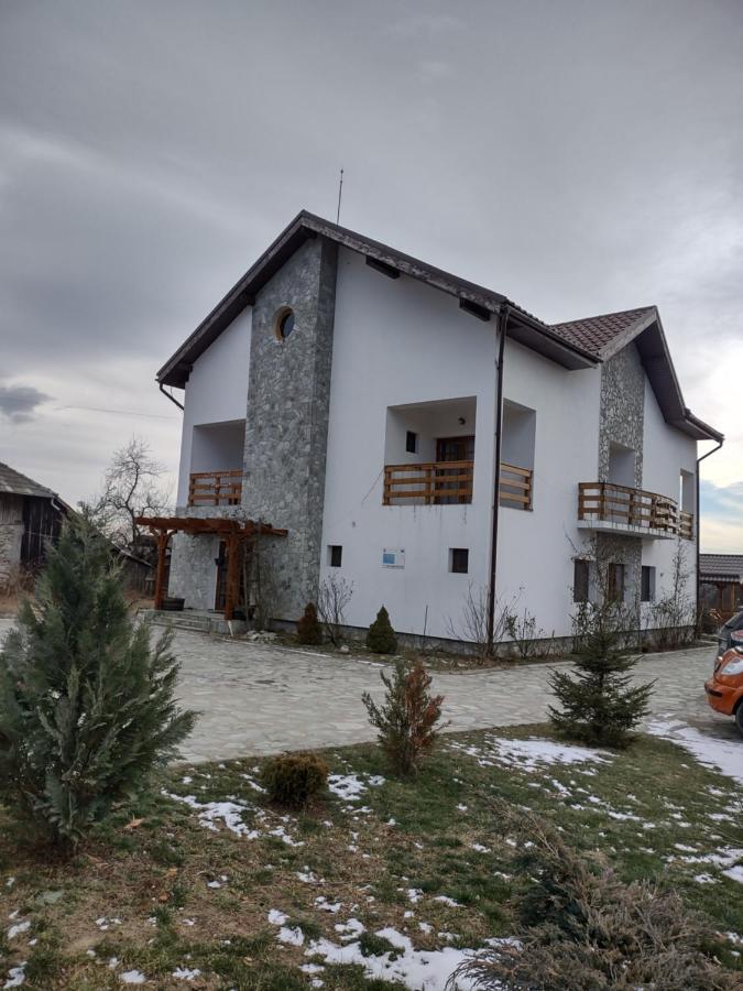 Pensiunea Codruta Cărpinişu Eksteriør billede