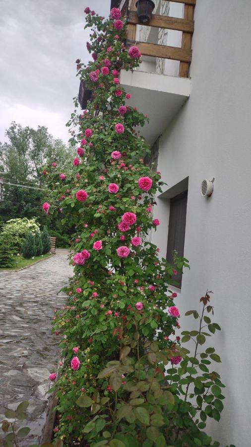 Pensiunea Codruta Cărpinişu Eksteriør billede