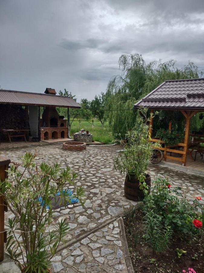 Pensiunea Codruta Cărpinişu Eksteriør billede