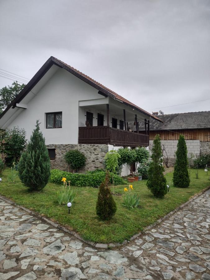Pensiunea Codruta Cărpinişu Eksteriør billede