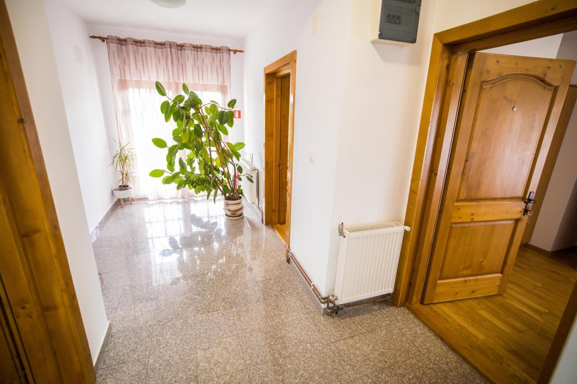 Pensiunea Codruta Cărpinişu Eksteriør billede