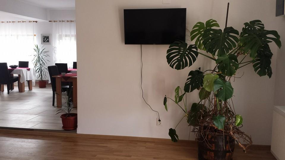 Pensiunea Codruta Cărpinişu Eksteriør billede