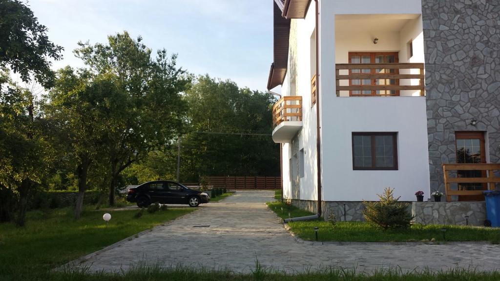 Pensiunea Codruta Cărpinişu Eksteriør billede