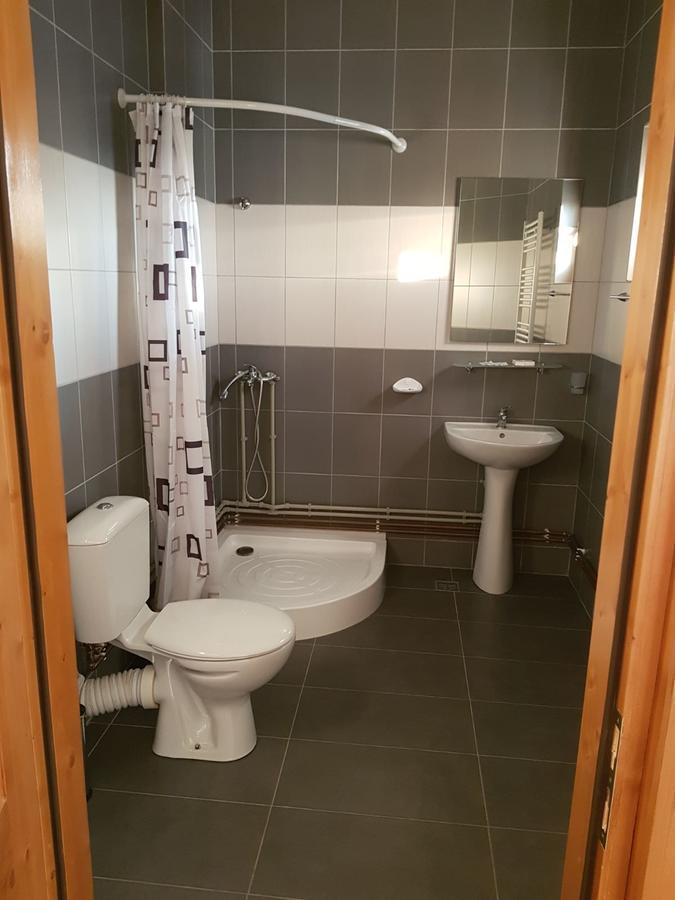 Pensiunea Codruta Cărpinişu Eksteriør billede